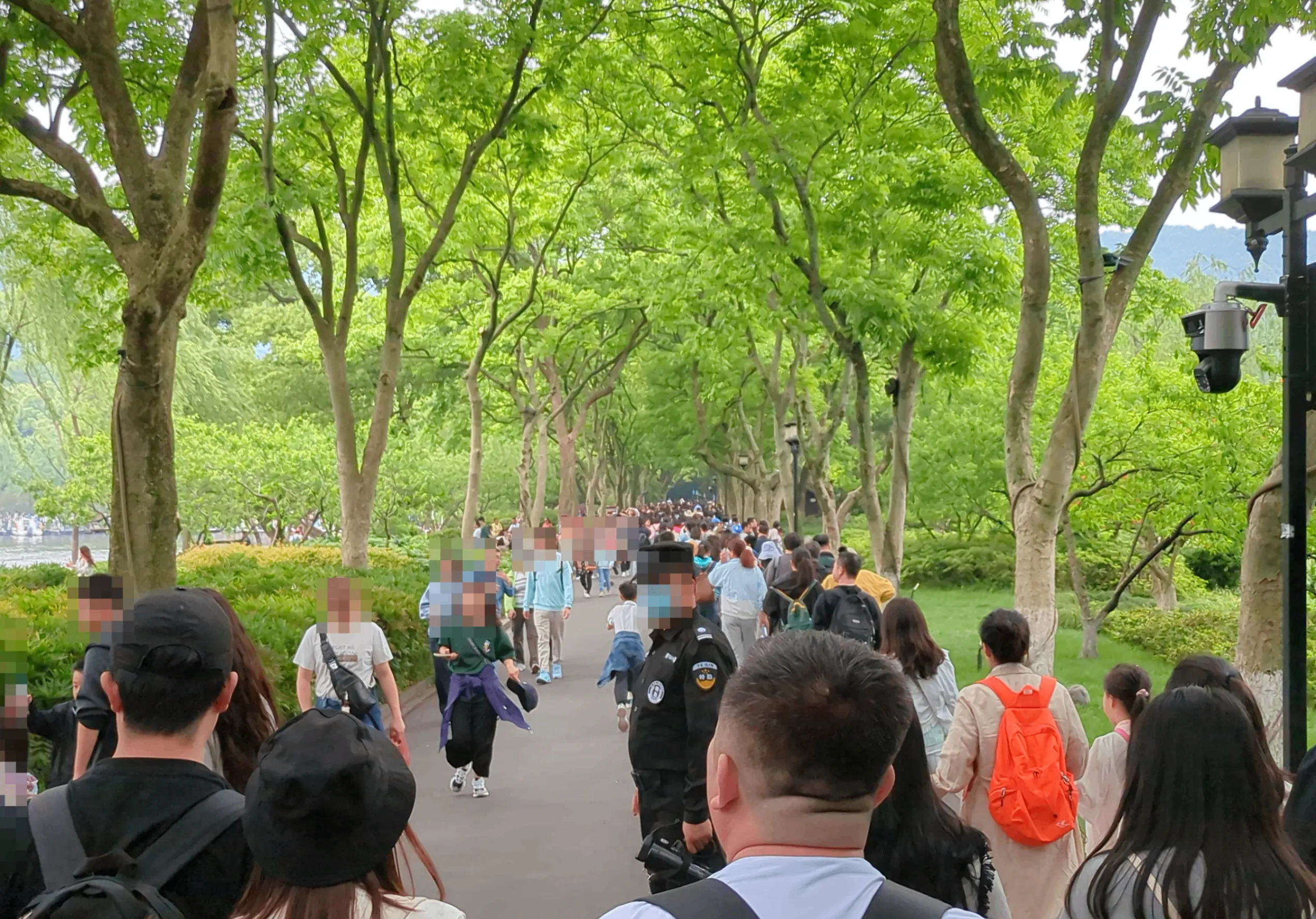 緑もたくさんあります