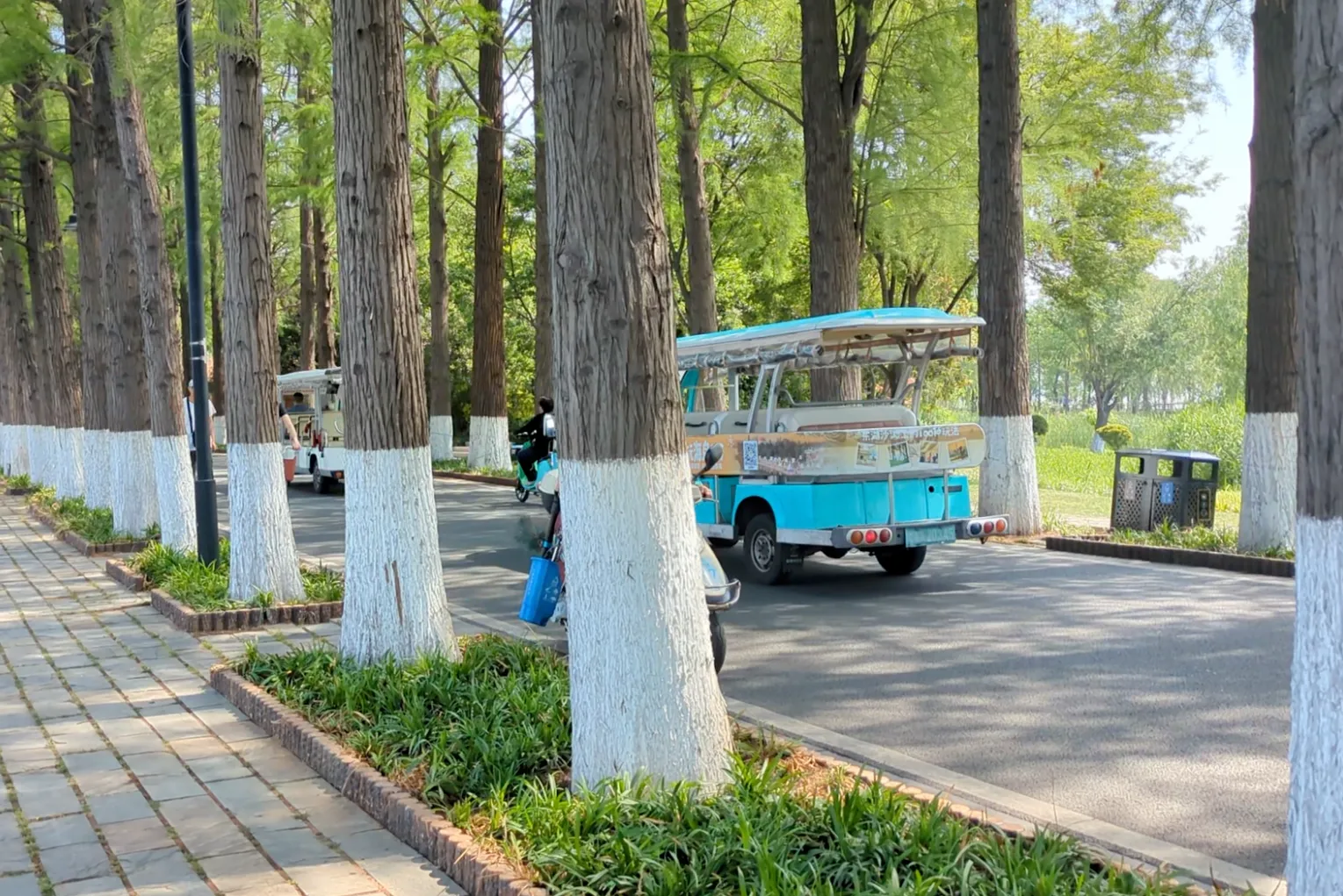 観光車も走ってます