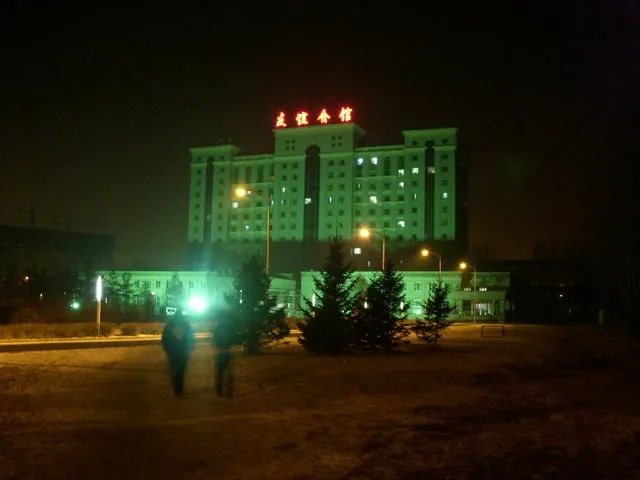 2010年。日中の写真はなかった。。。