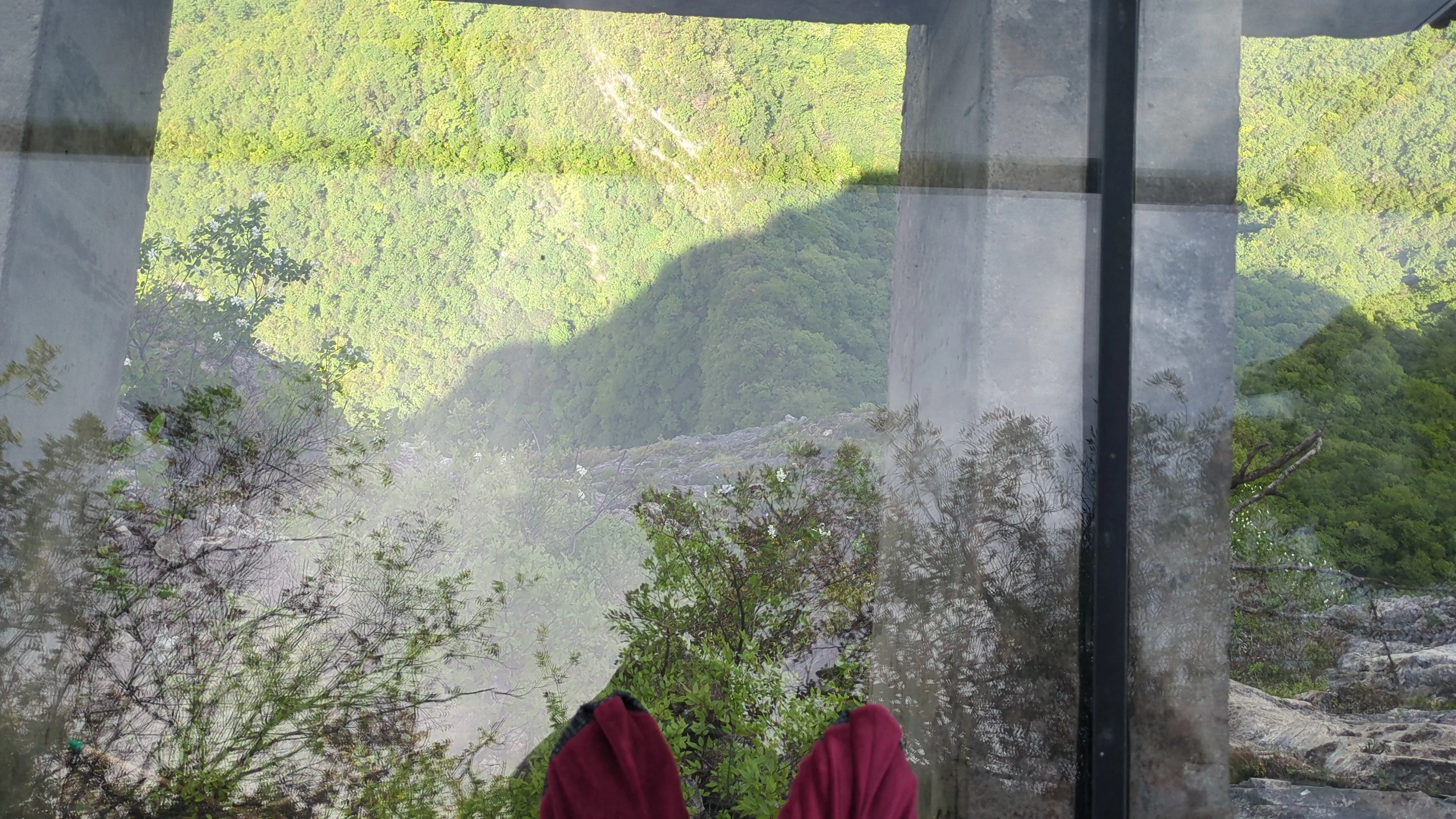 写真では伝わらないかもしれない
