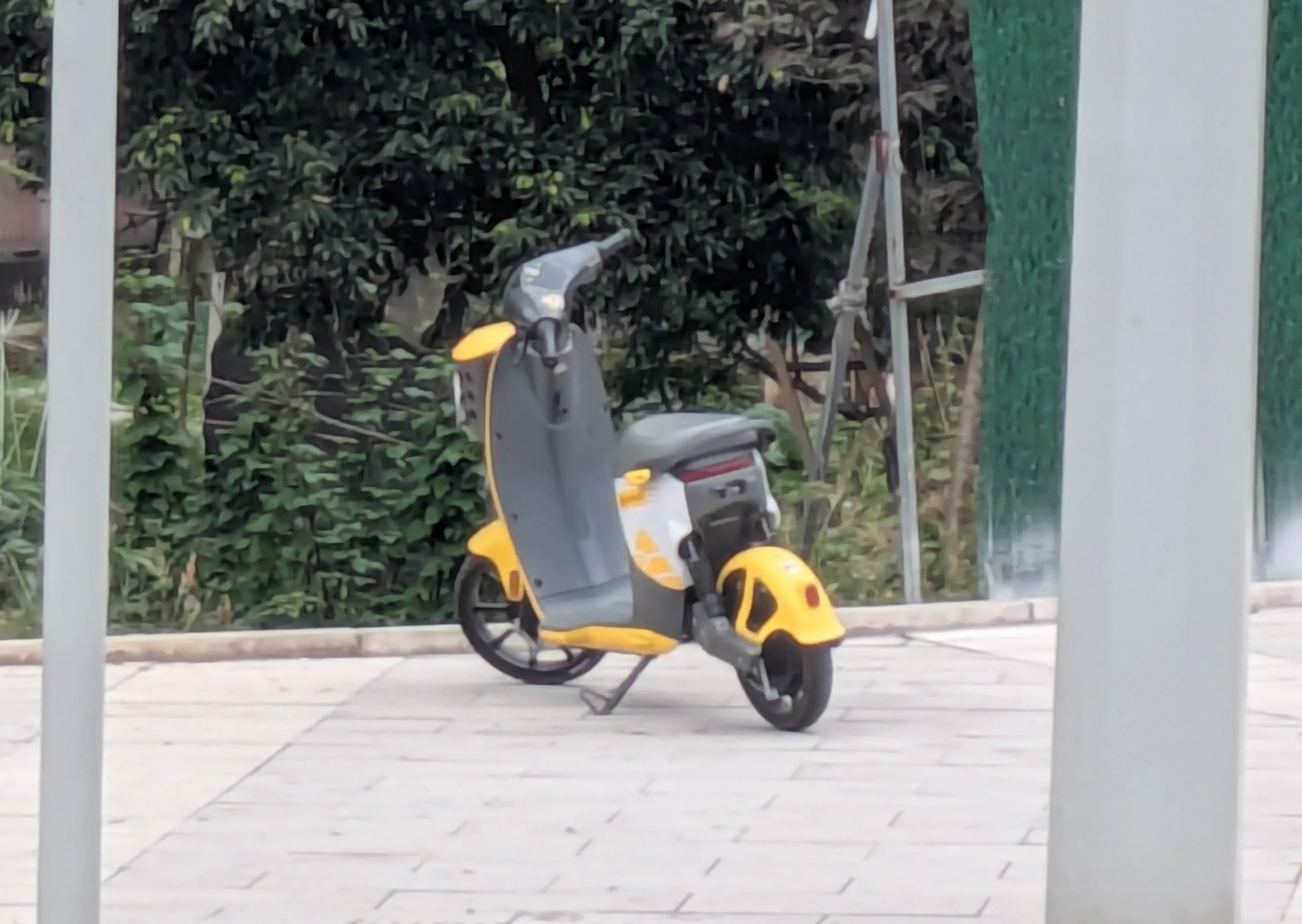 次の日に撮ったシェア原付自動車