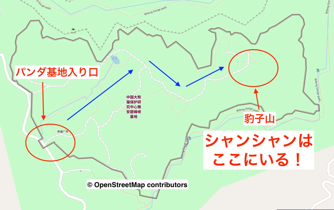 香香在这里！
