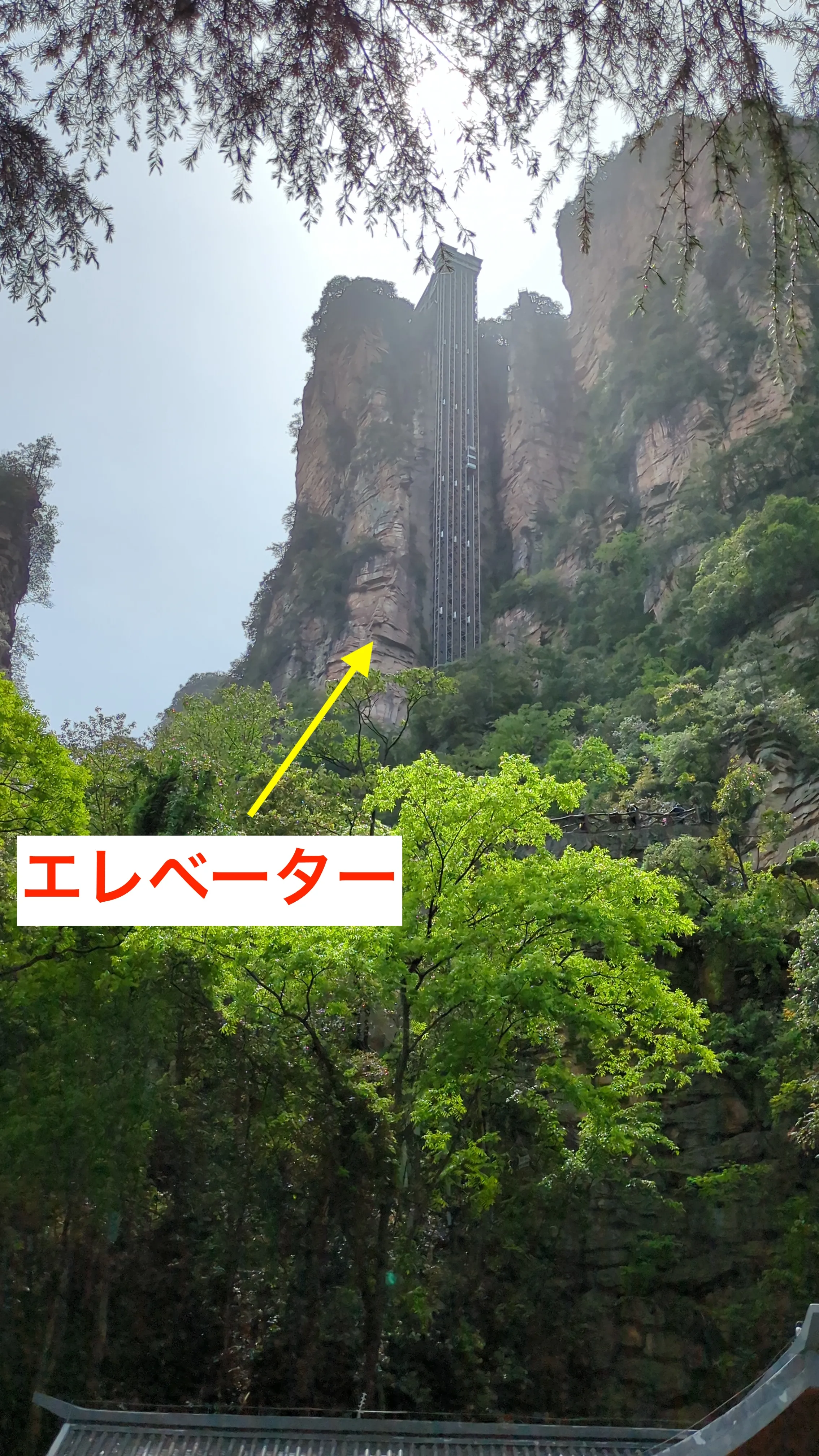 エレベーターが見えてきました。