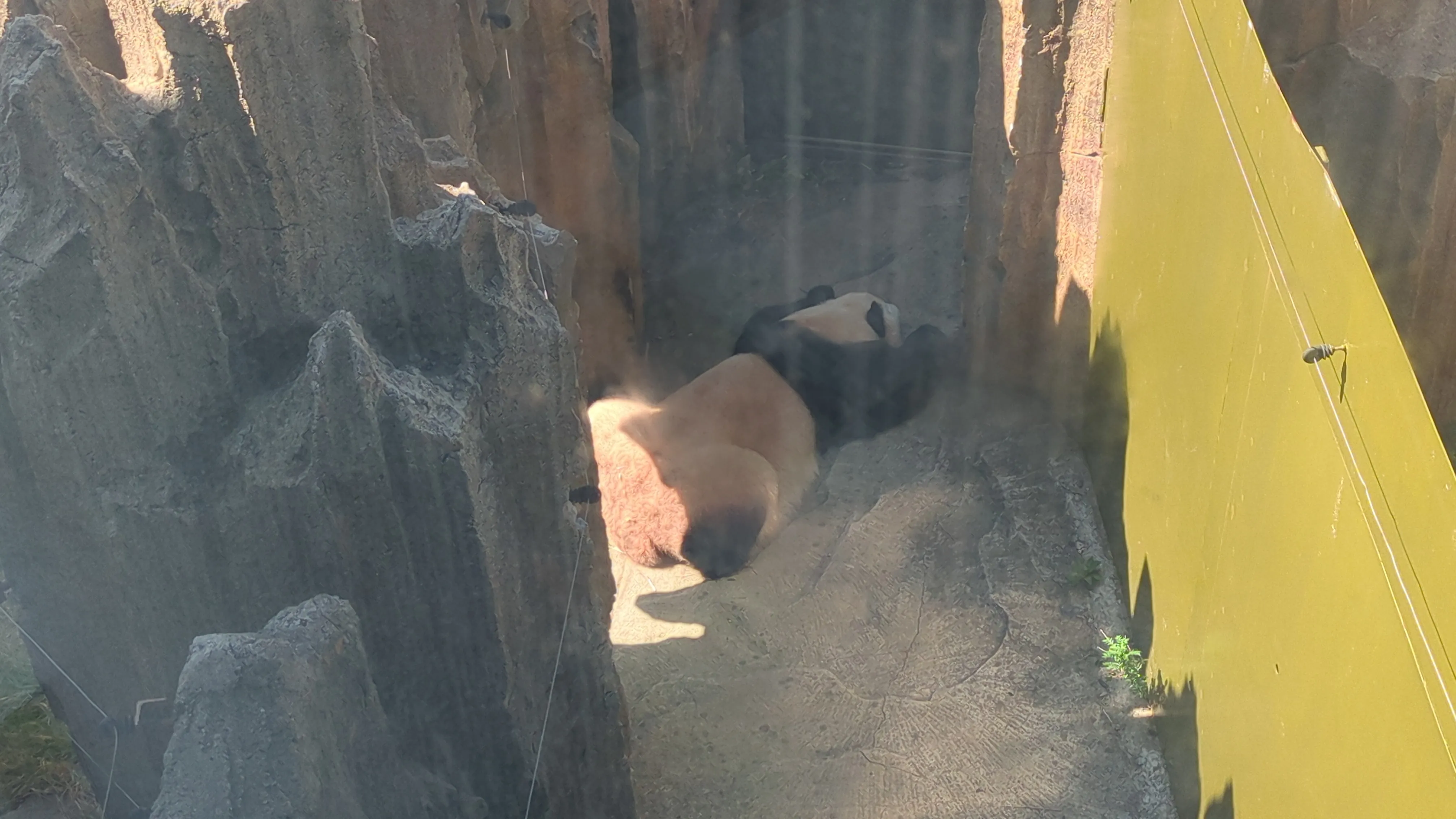 飛雲さんその２