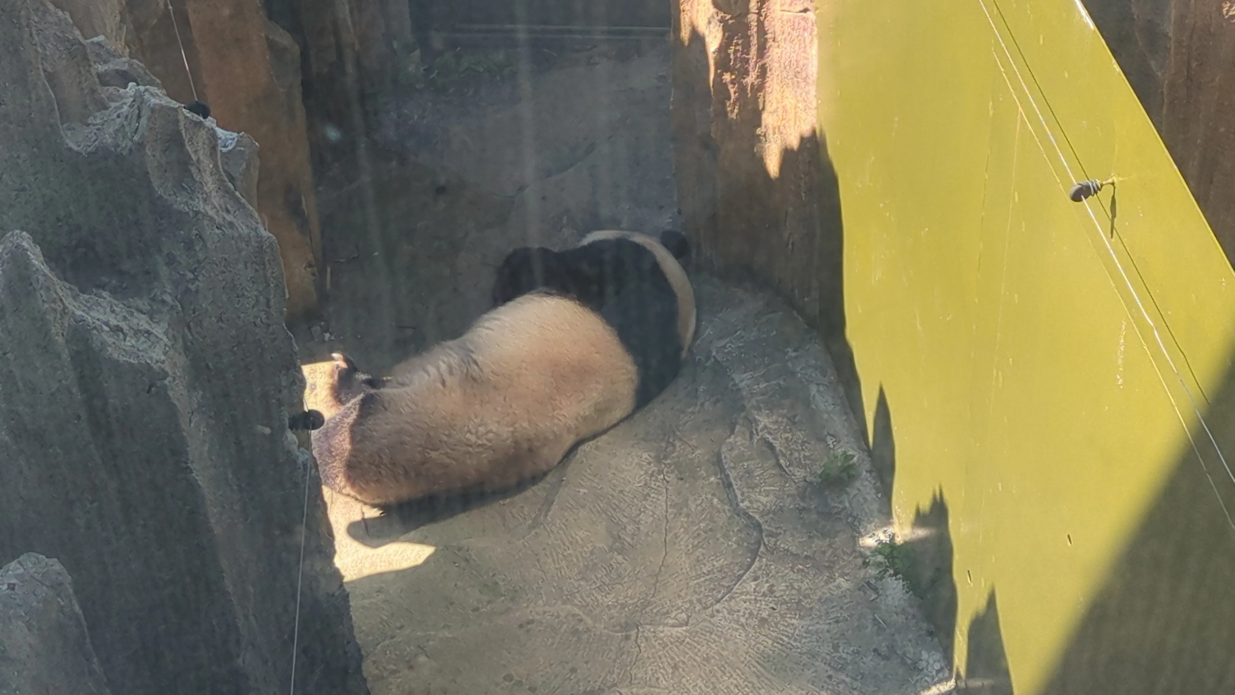 飛雲さんその１
