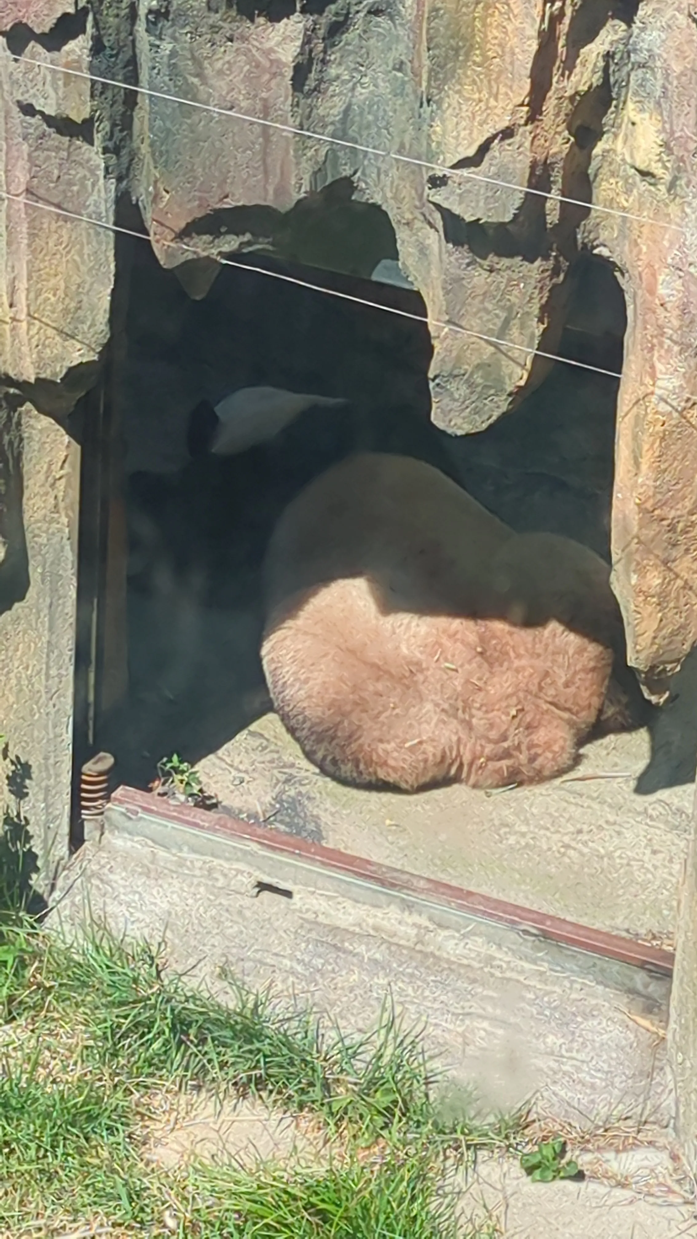 飛雲さんその３