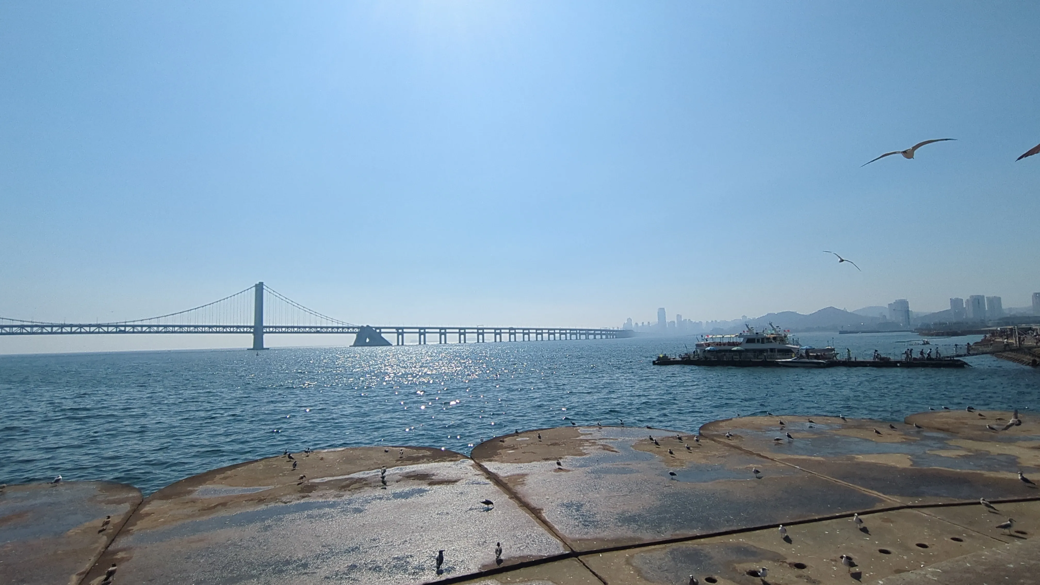 海